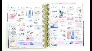 Mini Haul + Plan with Me: Ft. Jax and Pepper
