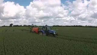 Hvede spr&oslash;jtning 2015