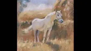 The Wind in a mane. Ветер в гриве.