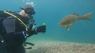 Blackwater Slovakia Scuba Diving 2025 (Ambient sounds)