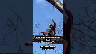 Tree Climbing Championship 2023, Chattanooga, TN | ISA Southern Chapter #treeclimbing #shorts