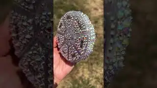 Bling Pill Case SymphonysTreasures.com #shorts #symphonystreasures #bling