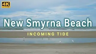 2.5 Hours at New Smyrna Beach - Ocean Ambience