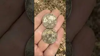 Finding a SILVER Washington quarter spill!
