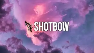 The Truth About The Shotbow Network