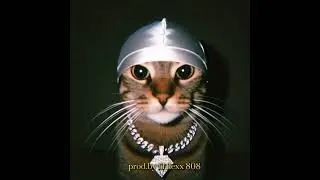 Beatz & Track 13 / freestyle beat