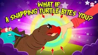 Dangerous Encounters | What if a Snapping Turtle Bites You? | Alligator Snapping Turtle Bite Force