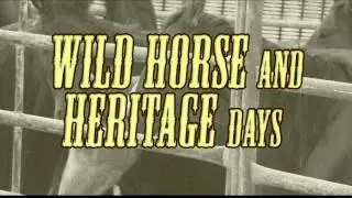 Tooele County Wild Horse and Heritage Festival