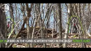 Missouri Turkey Mishap, DIY Hunt Public Land
