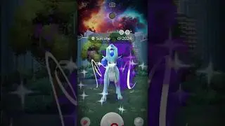 Found shiny shadow Suicune in first Raid #shorts #shiny #legend #ultragoo #suicune #catch #lucky
