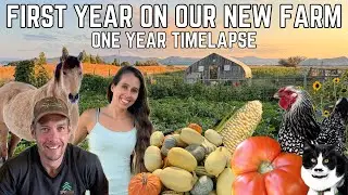 1 Year Timelapse: First Year On Our New Farm Recap