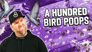 Cleaning Over 100 Bird Poops off This Car | Extreme Detailing Challenge