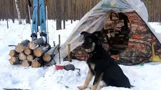 Два дня в марте с Собачкой. (рассказ)