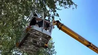 Dear Nolan - Aunt Casey Giving You a Ride on a Cherry-Picker!