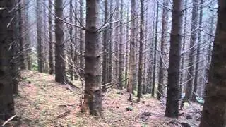 Oddmund Refvem