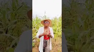 AROKO FARM AND RESORT