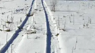 Amherst State Park Run