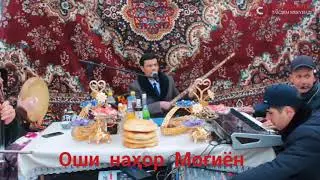 Оши наҳор Моғиён