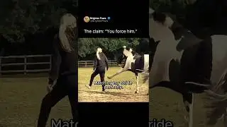 Watch them say I forced my horse into this 🐴