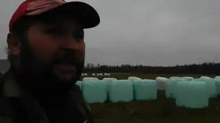 Как хранятся рулоны сенажа в пленке!Сезон 2020г