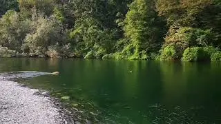 Elly - MudandGlory Dirty Dancing