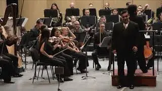 tenor Carlos Alberto Velázquez. La donna e mobile.
