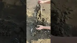 Long Chain found under soil #treasuredetector #treasure #experiment #metaldetecting #foryou