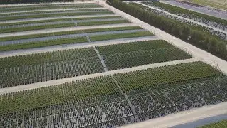 Sheridan Nurseries: Come Tour our Farms
