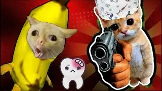 Banana cat cures tooth decay, but how? #bananacat