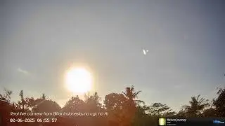 🌌 TONIGHT: Tau Herculids Meteor Shower PEAK Live! | Real Sky Phenomena & Relaxing Ambience