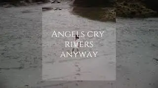 jacky wolf - rivers