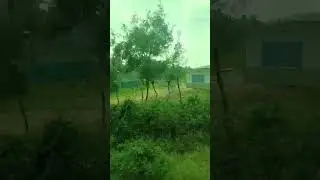 Greenery everywhere!!