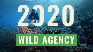 2020 Conservation Video Showcase | Wild Agency