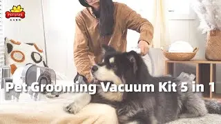 Pro Pet Grooming Kit with Vacuum &ndash; All-in-One Solution | OEM Factory Manufacturer