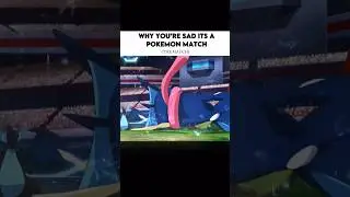 Ash Greninja and Alain&rsquo;s Charizard fought in the Kalos League finals #pokemon #final #ashgreninga