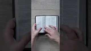 NLT Compact Bible, Filament Enabled Leatherlike, Regal Lion Black, Red Letter