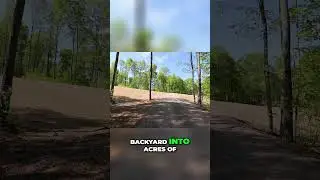 🌲 Nature at Your Doorstep 🌲