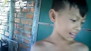 Di bat ran