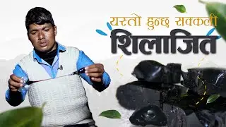 कसरी चिन्ने सक्कली शिलाजित ? || How to Identify the real Shilajit ?