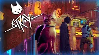 CUTE Cat FINDS the Outsiders Ant Village and Midtown! - Stray Part 4