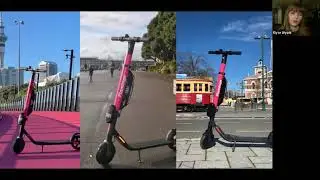How to start an e-scooter company: The Flamingo Scooter Story