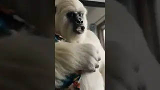 😂 Yeti&rsquo;s Morning Coffee Chaos! #YetiVlog #CoffeeTime #Comedy #MorningRoutine #AbominableSnowman