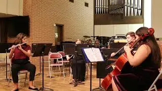 WPCMA 2018 W.A. Mozart Flute Quartet K. 285 in D Allegro