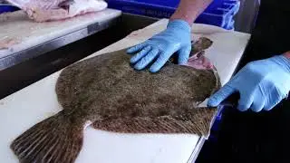 Flying Fish at Home - Filleting a Turbot