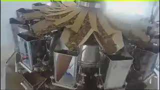 SINOPED 10 head weigher plus a bag packing machine