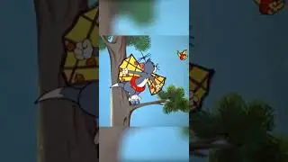 Beware of Flying Cat  #TomandJerry #ClassicCartoons #Cartoonito #shorts | Cartoon Network Africa