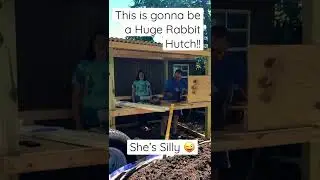 Most Spoiled Rabbit Ever