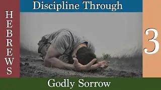 Discipline Through Godly Sorrow - Hebrews Part 3 - Jason Willis