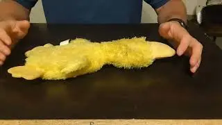 Review: Best Pet Supplies Crinkle Dog Toy