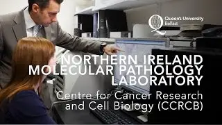 CCRCB &ndash; Northern Ireland Molecular Pathology Laboratory